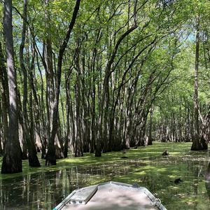 Meet your Posher, Jay